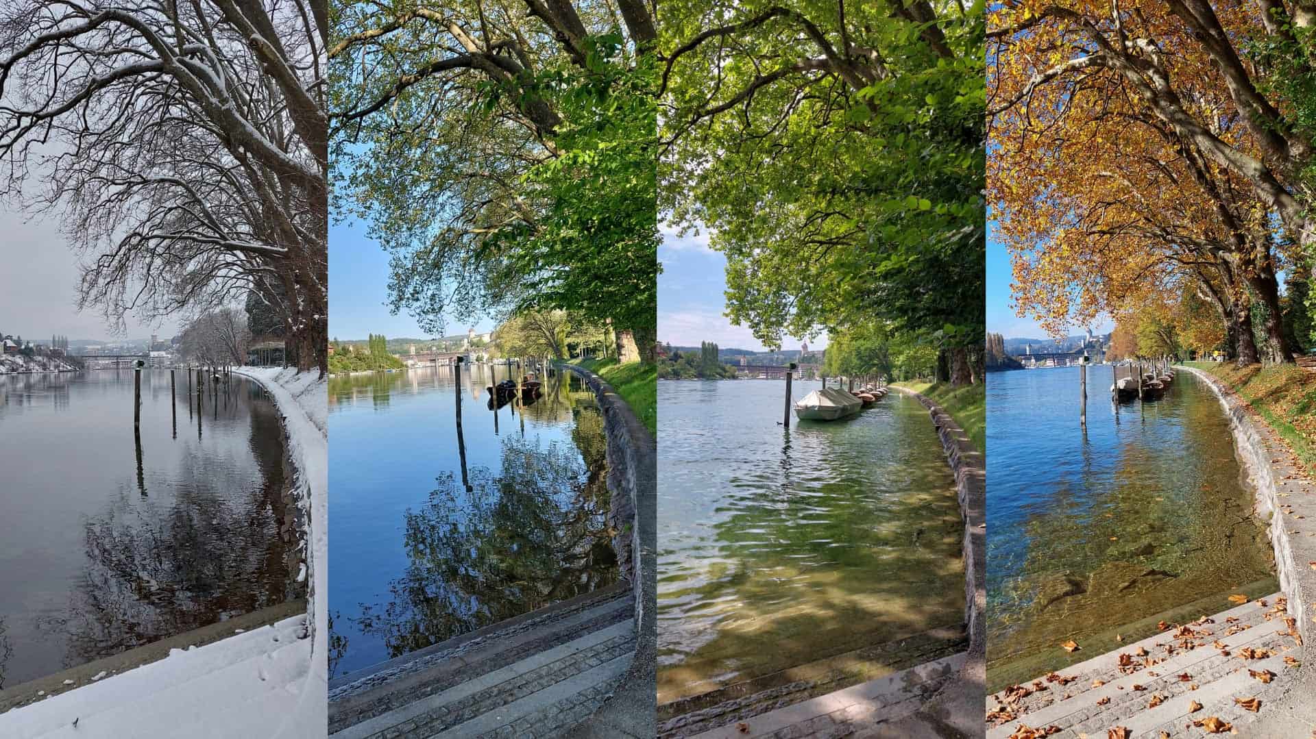 Gutschein kaufen Dentzer-Dynamik